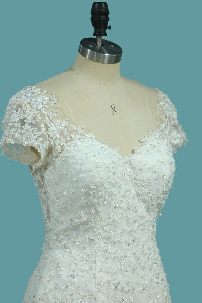 Vestidos de novia de la sirena / de la trompeta del V-Cuello con cuello en V de 2024 mangas cortas con el Applique